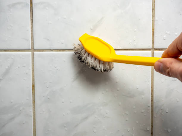 Office Mold Removal Services in Homestead Meadows North, TX