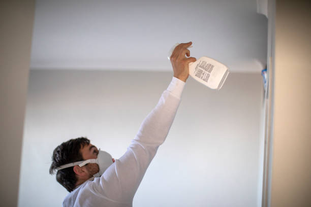 Best Mold Cleaning Services  in Homestead Meadows North, TX