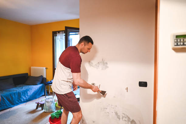 Best Commercial Mold Removal  in Homestead Meadows North, TX